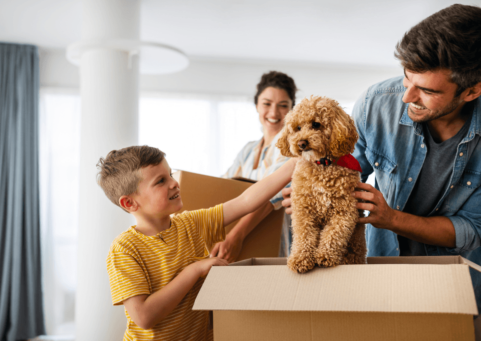 Contact Bhopal Pets Online